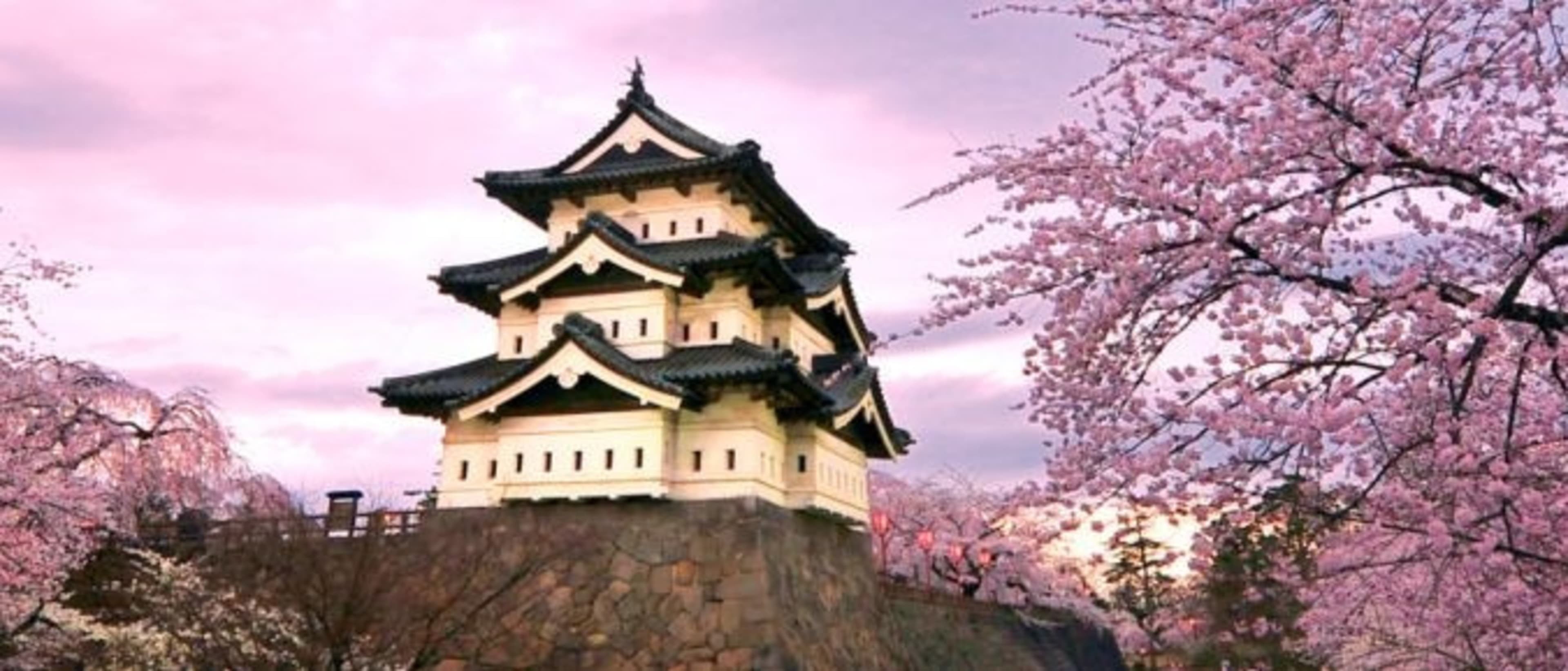 Hirosaki University