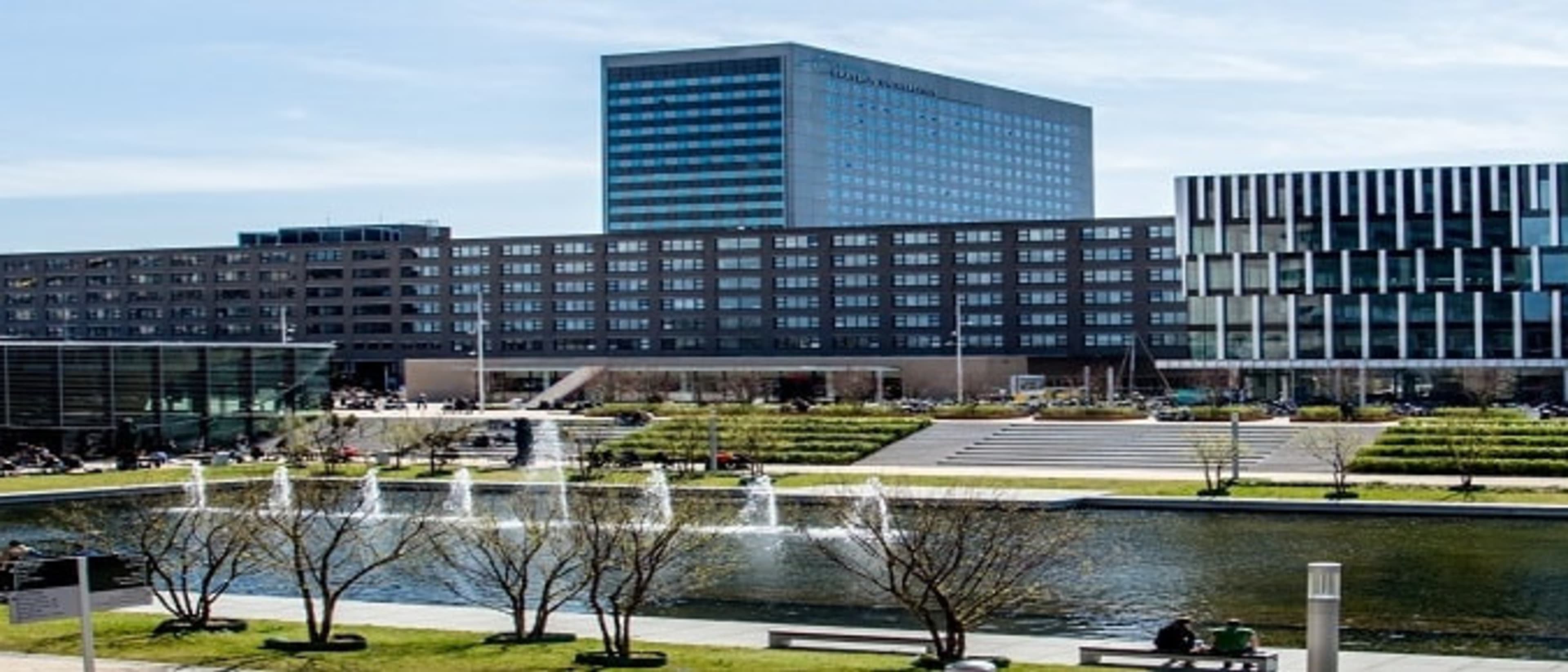 Erasmus School of History, Culture and Communication - Erasmus University Rotterdam