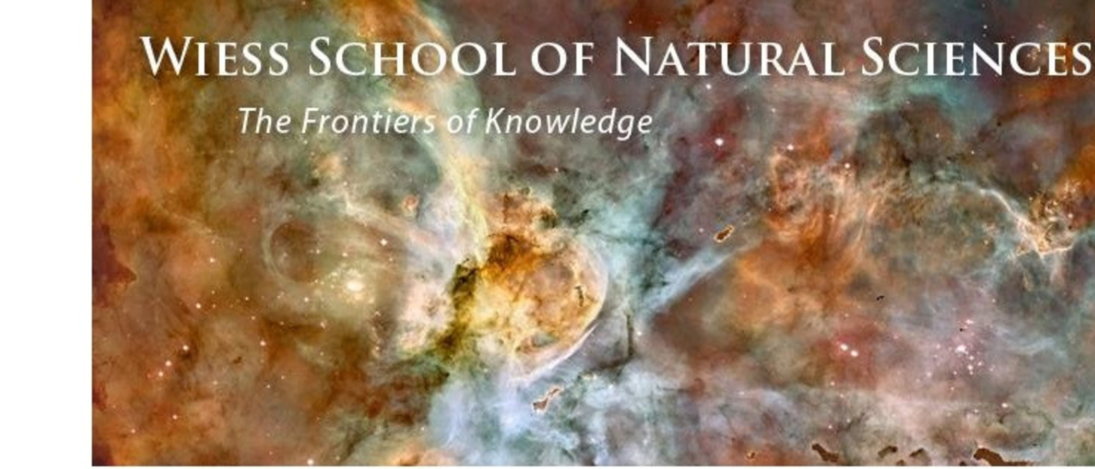 Rice University | Wiess School of Natural Sciences