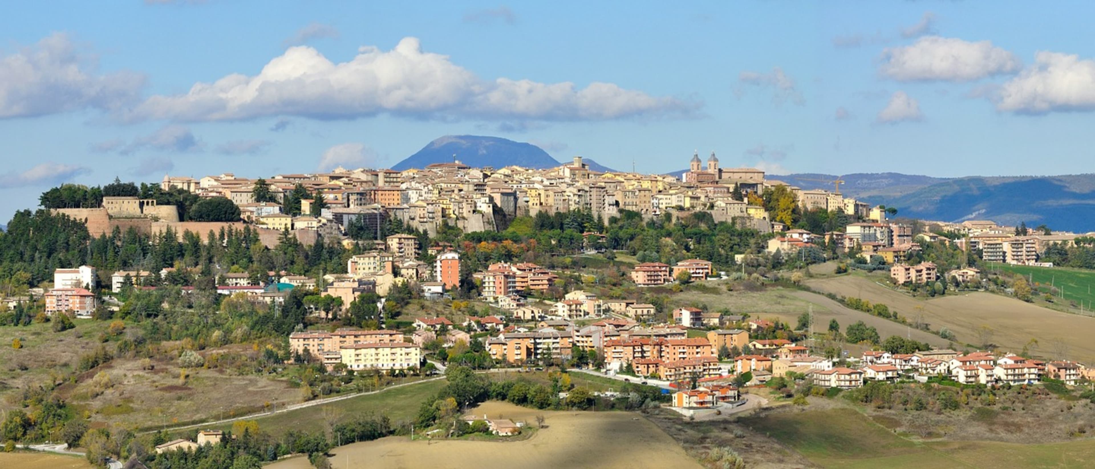 University of Camerino the international School of Advanced Studies