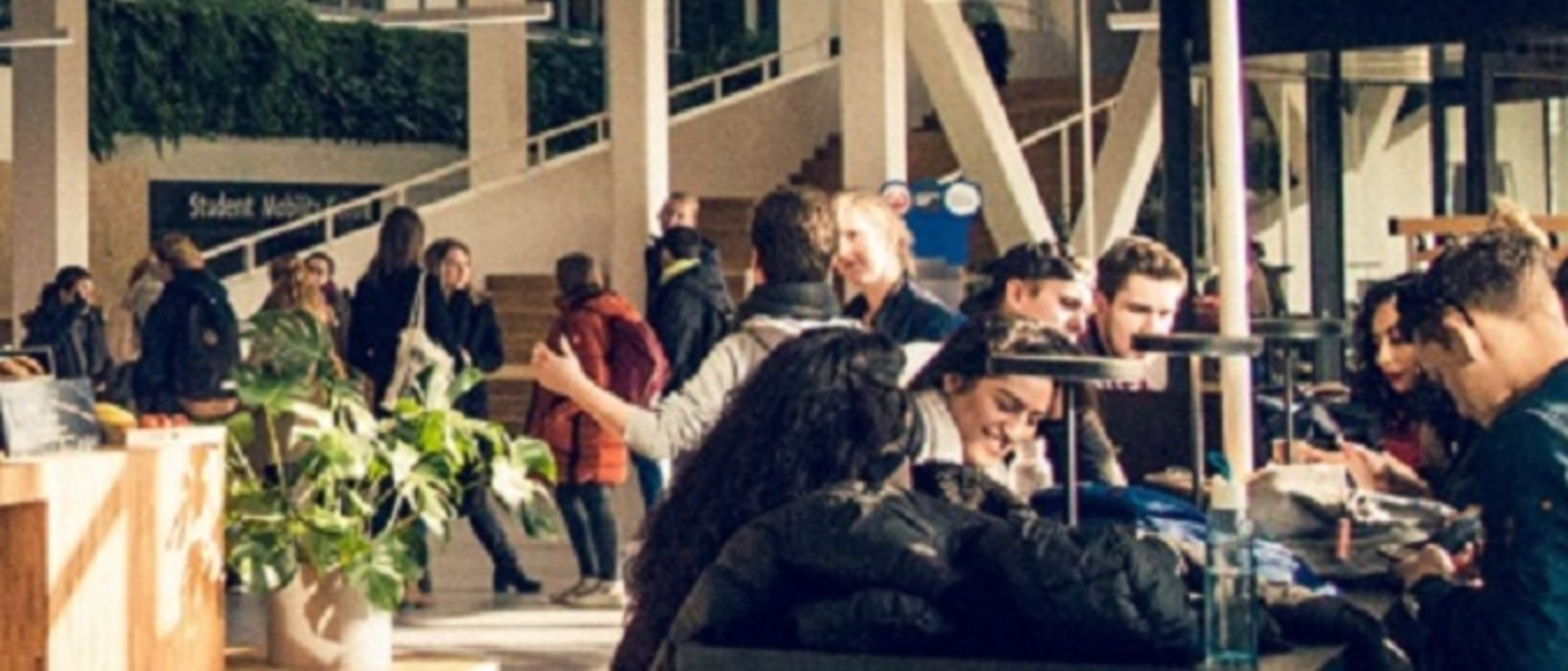 NHL Stenden University of Applied Sciences