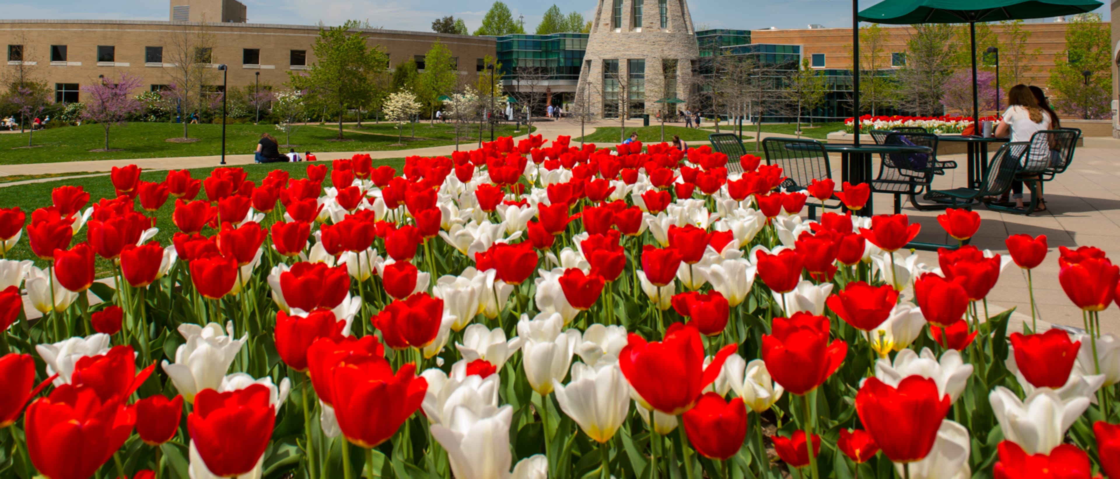 University of Southern Indiana