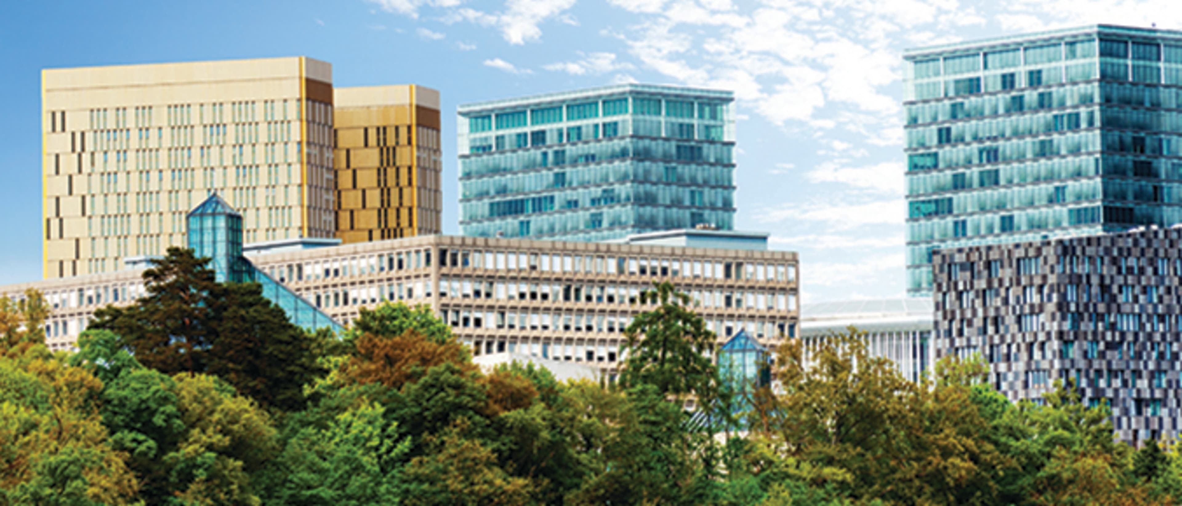 University of Luxembourg, Faculty of Law, Economics and Finance