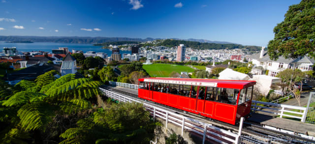 new-zealand-expands-student-visa-work-allowances