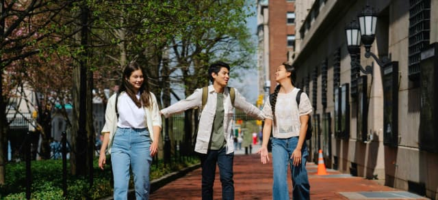 Which Countries Are Best to Work and Settle in After Finishing Your Studies?