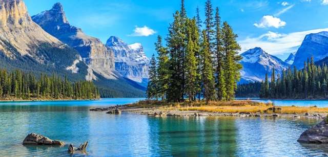University of Alberta