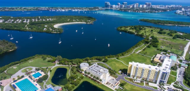 Florida International University