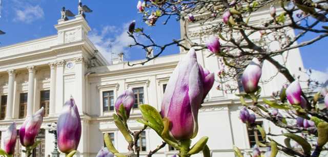 Lund University