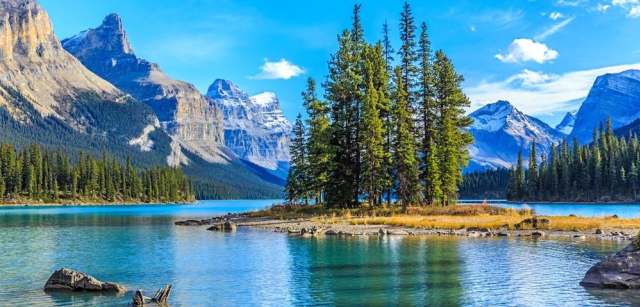 University of Alberta