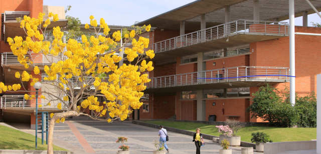 ITESO -  Universidad Jesuita de Guadalajara