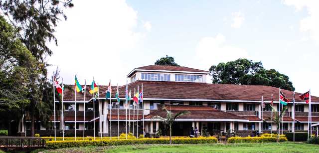 Africa International University