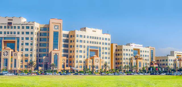 American University in the Emirates