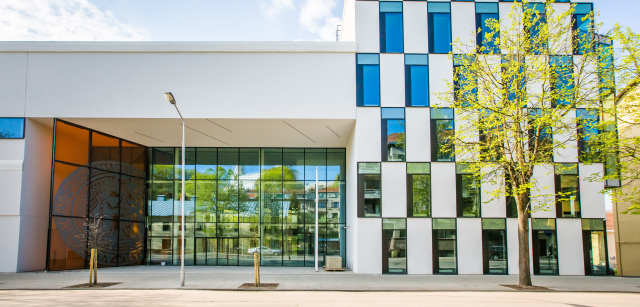 Vytautas Magnus University