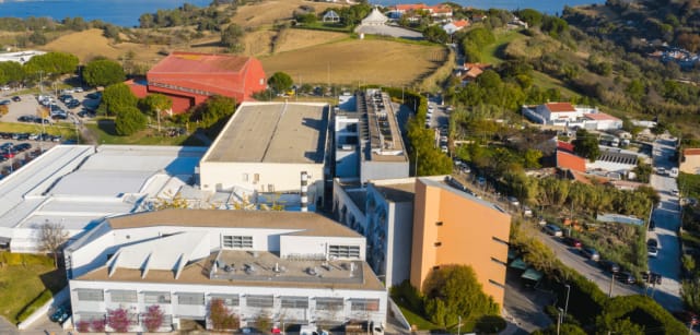 Egas Moniz School of Health & Science