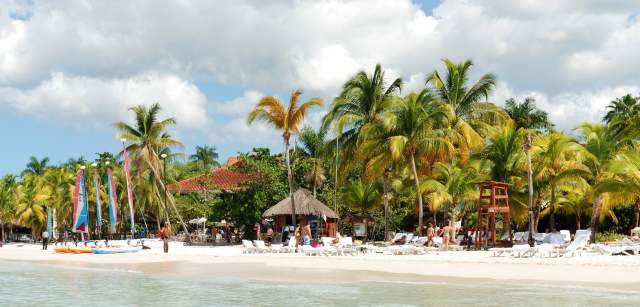 International University of the Caribbean