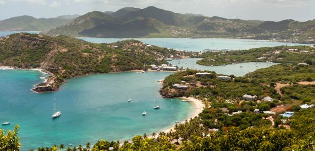 American University of Antigua