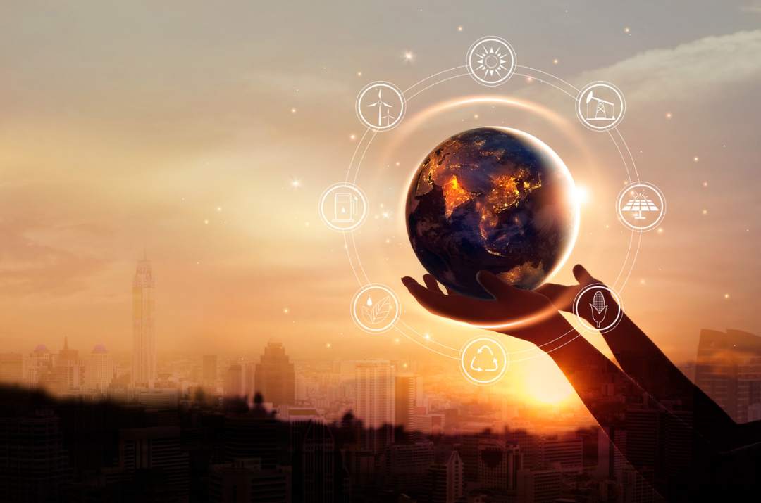 why-study-for-a-bachelor-s-degree-in-the-social-sciences