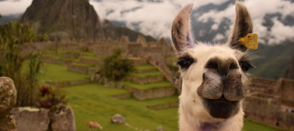 10 Reasons to Study in Peru