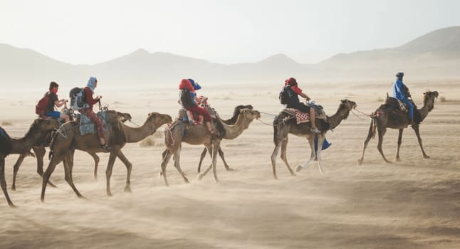 Reasons to Study Abroad - 2
