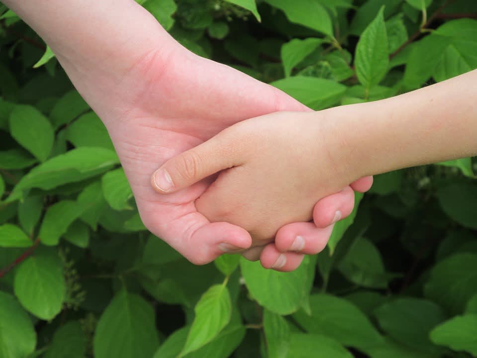 125541_hands-263341_960_720.jpg