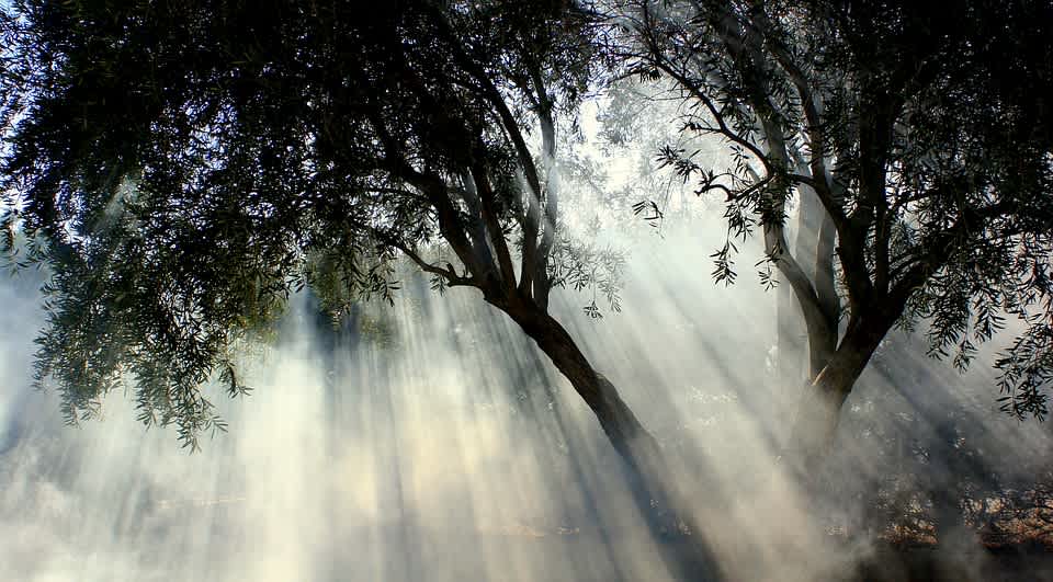 125543_foggy-1122136_960_720.jpg
