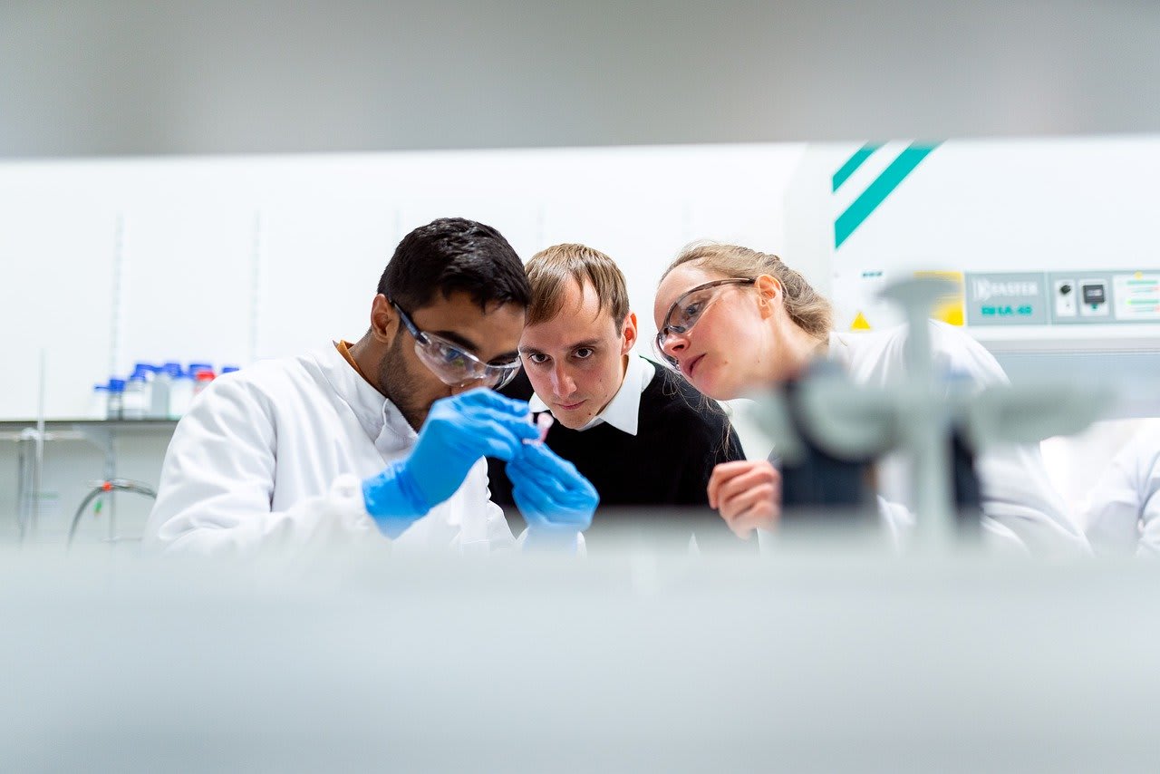 engineer, engineering, biomedical