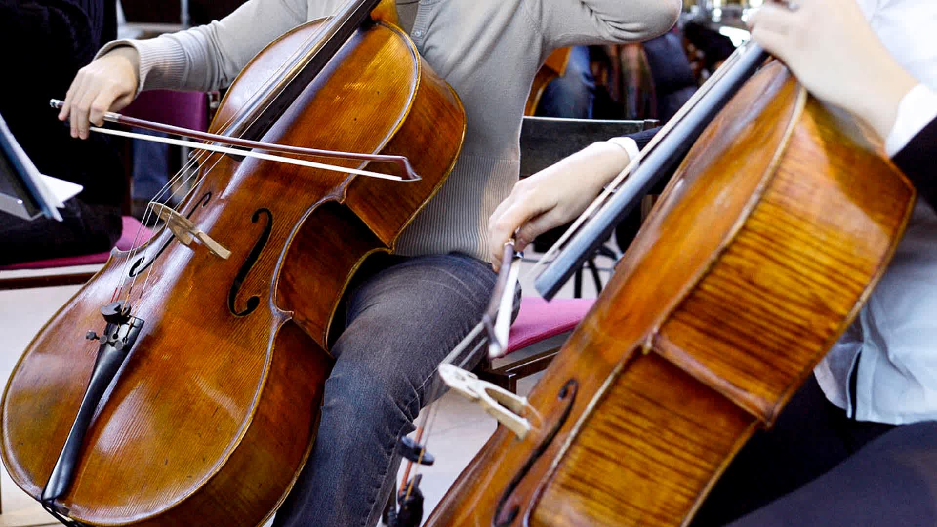 Students are playing the cello