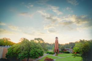 Turner College of Business