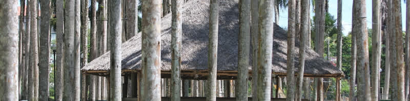 Suriname