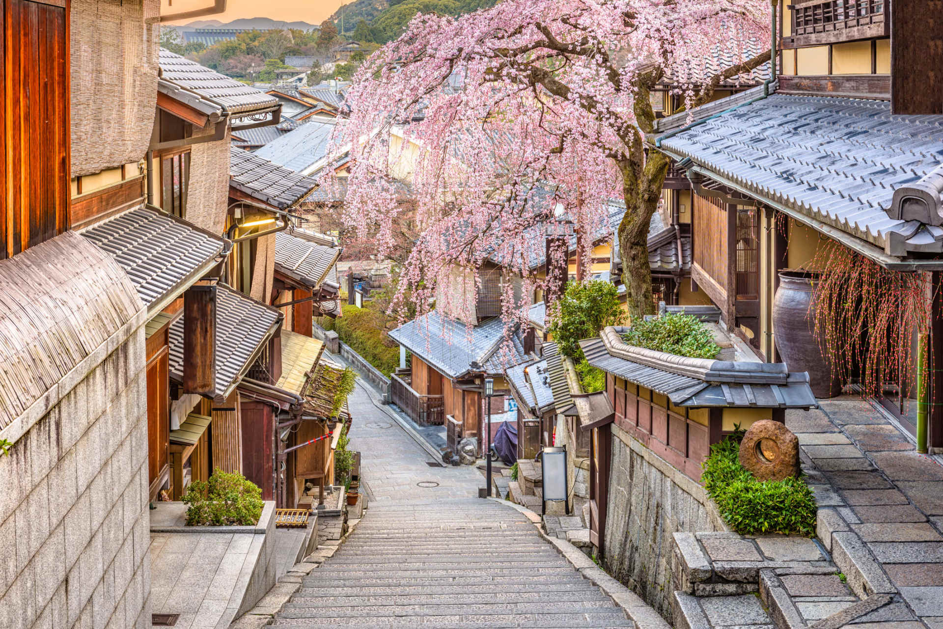 Kyoto one of japan's best student cities