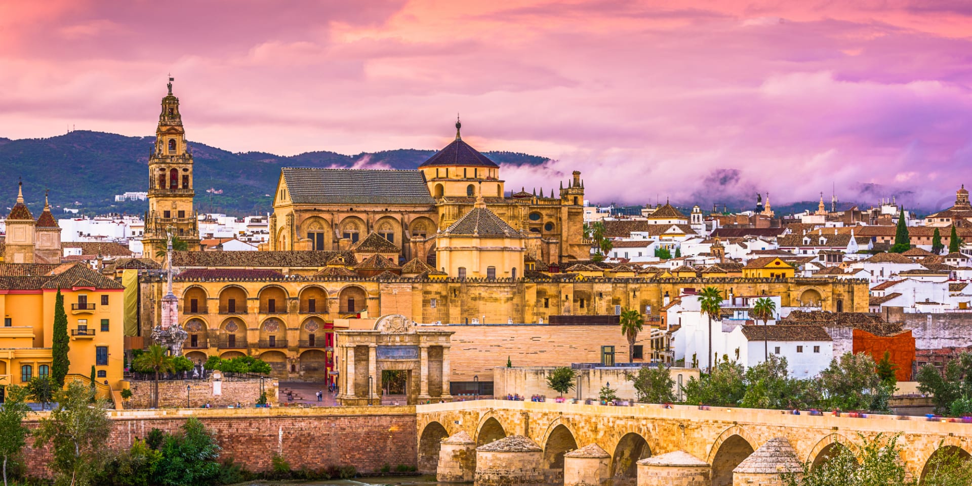 Scholarships for Bachelor's Studies in Spain