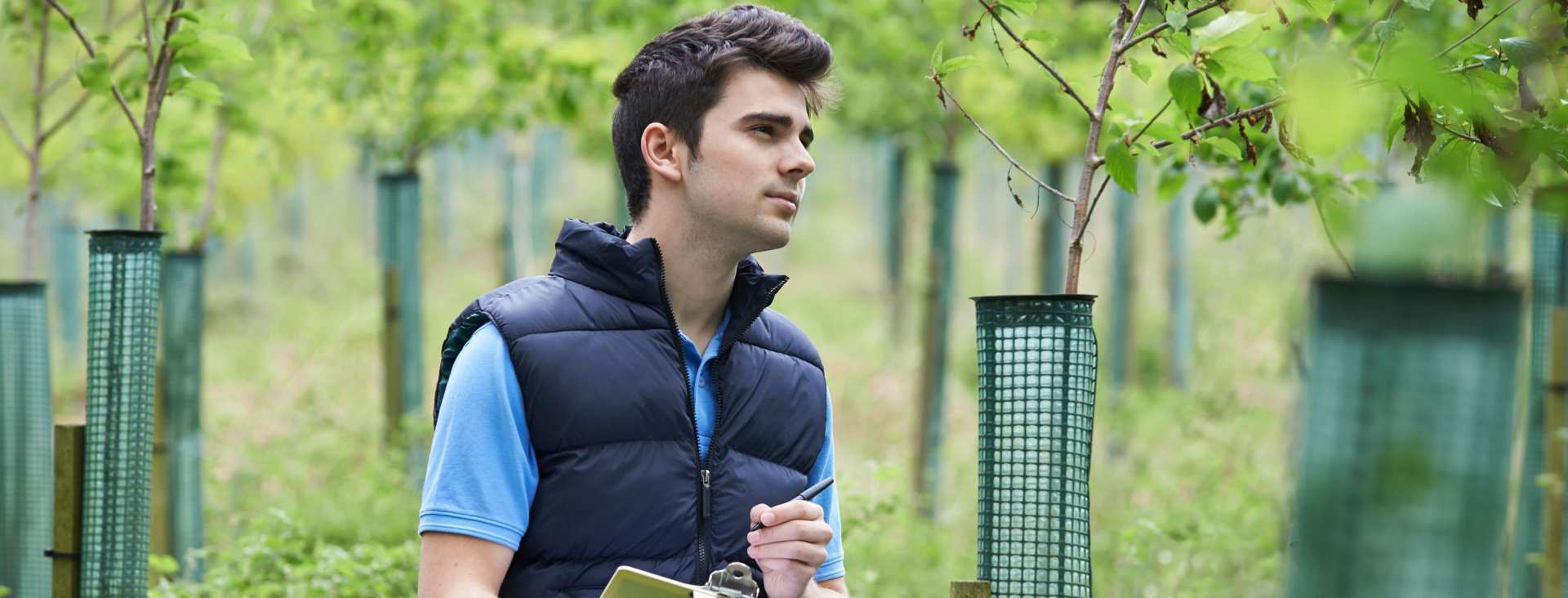 Seven Career Paths for Forest Science Majors