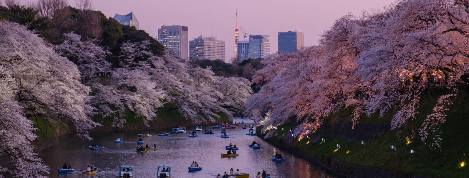 What are the World's Safest Cities and Why Study in Them?