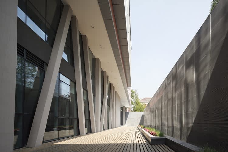 137809_sunkedgardenday