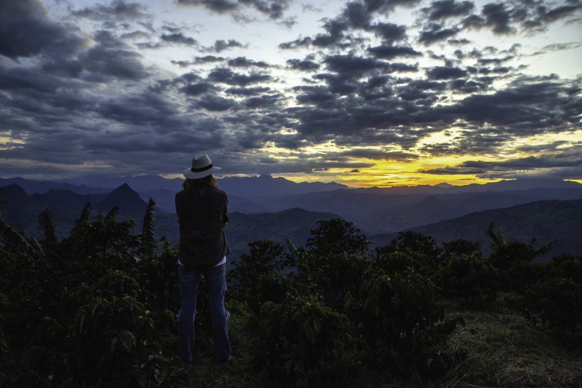 5 Reasons to Study in Colombia