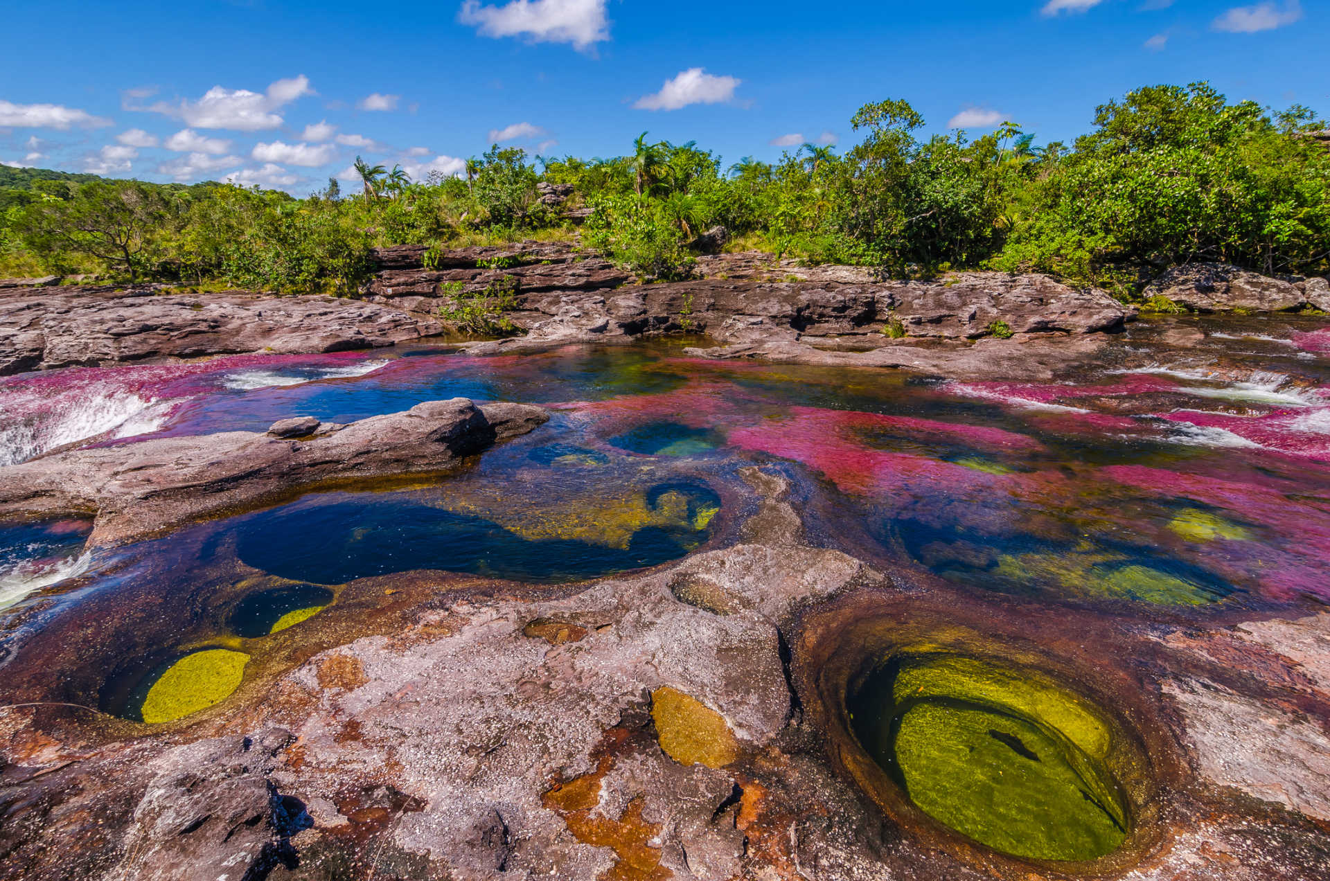 Colombia - Cano Cristales - National Park Serrania de la Macarena
