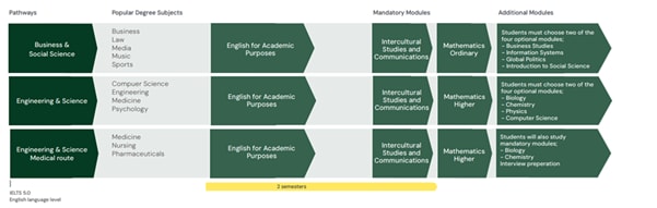 256142_curriculum.png