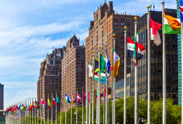 Four Steps to Becoming a Diplomat
