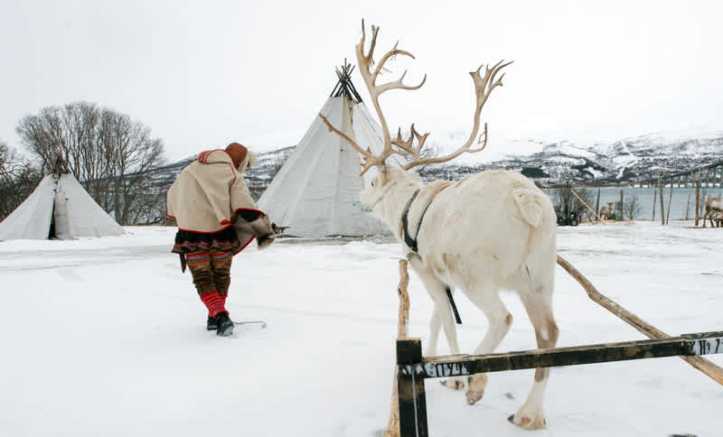 5 Reasons to Consider a Degree in Indigenous Studies