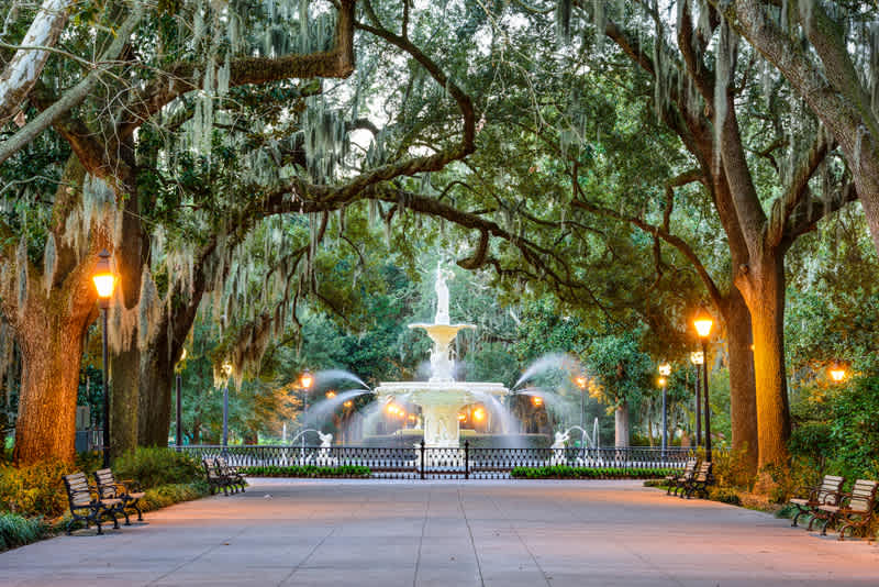 Top 5 Reasons Why Graduate Students are Choosing Georgia
