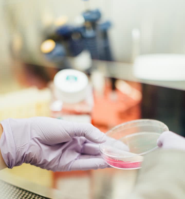 Chemistry_drew - 海斯-206414