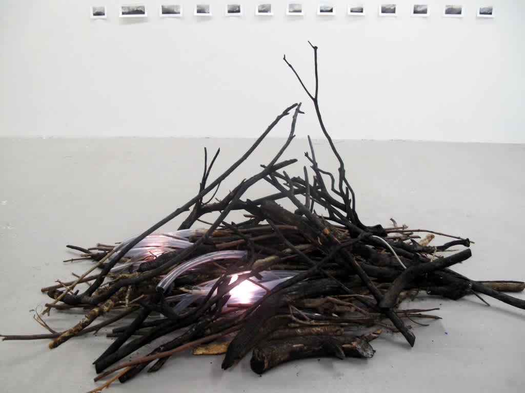 Tanya de Paor, PhD Candidate