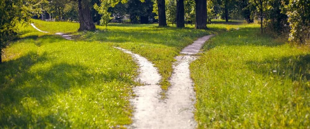Understanding the Value of PhDs: Academic v. Non-Academic Career Paths
