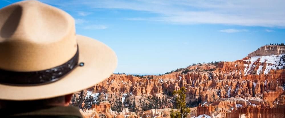 Five Unusual Backgrounds for Business Leaders