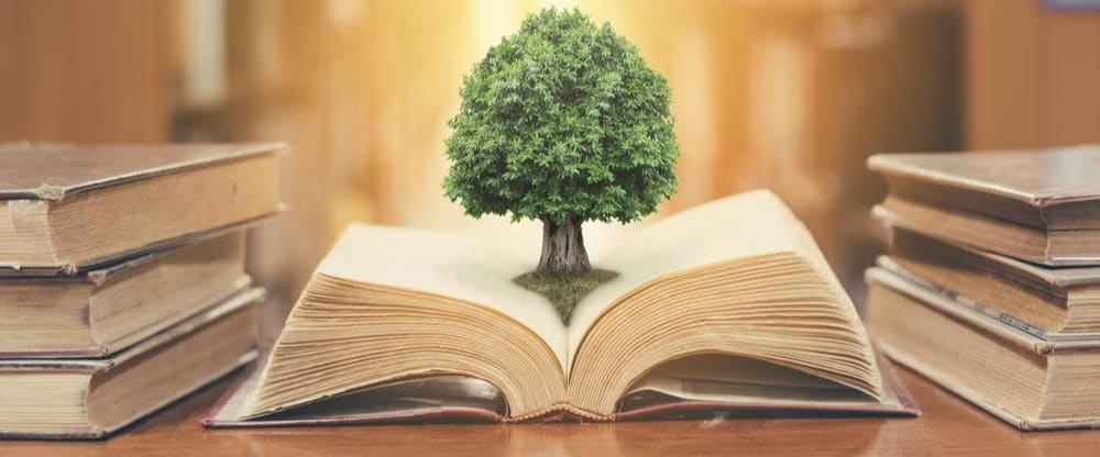 Five Humanities Majors For Students Interested in Business Careers