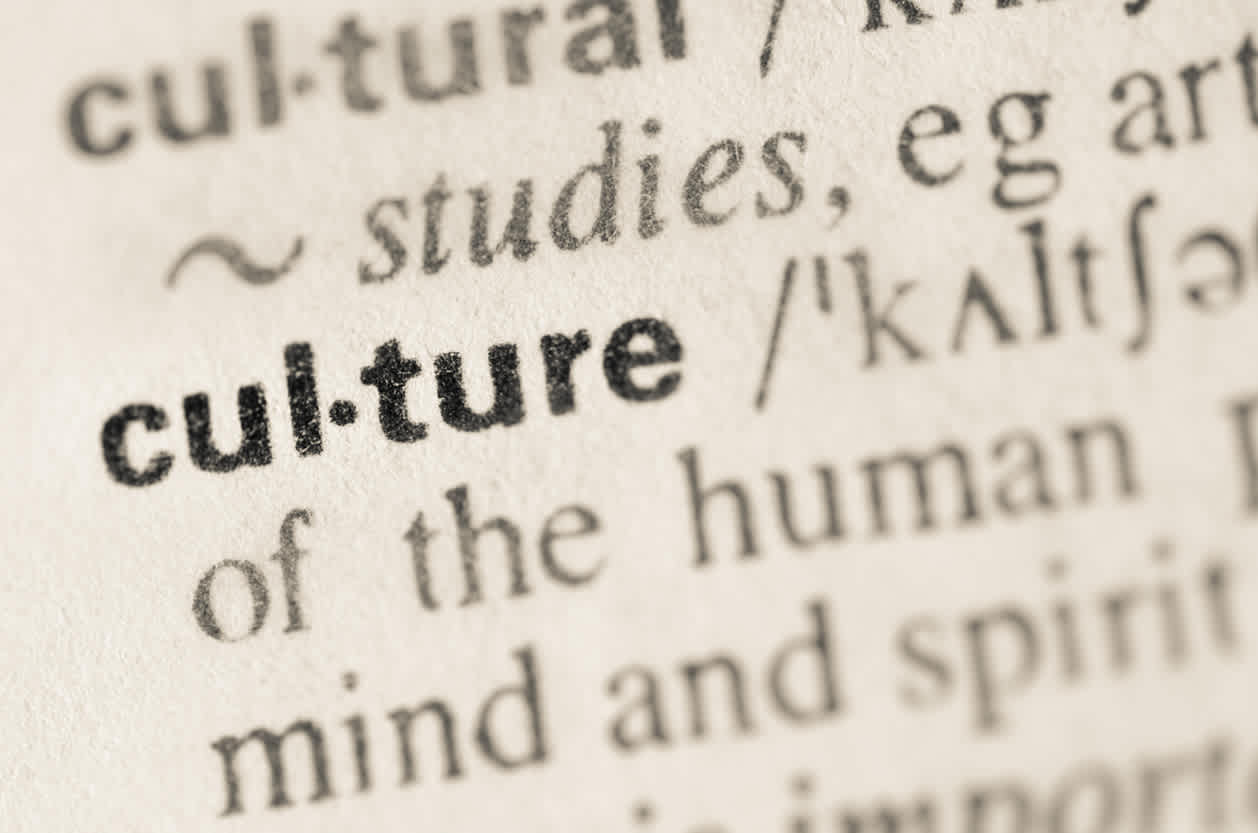 why-study-for-a-bachelor-s-degree-in-the-humanities