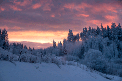 Norway education winter study