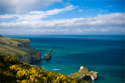 New Zealand coast education
