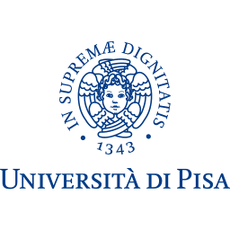 University of Pisa Summer - Winter Schools & Foundation Course logo