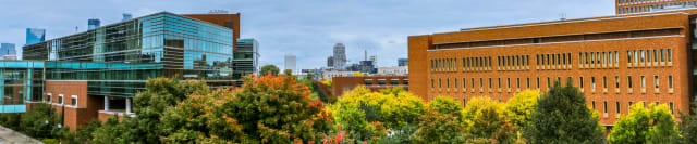 Cover photo for Master of Business Taxation